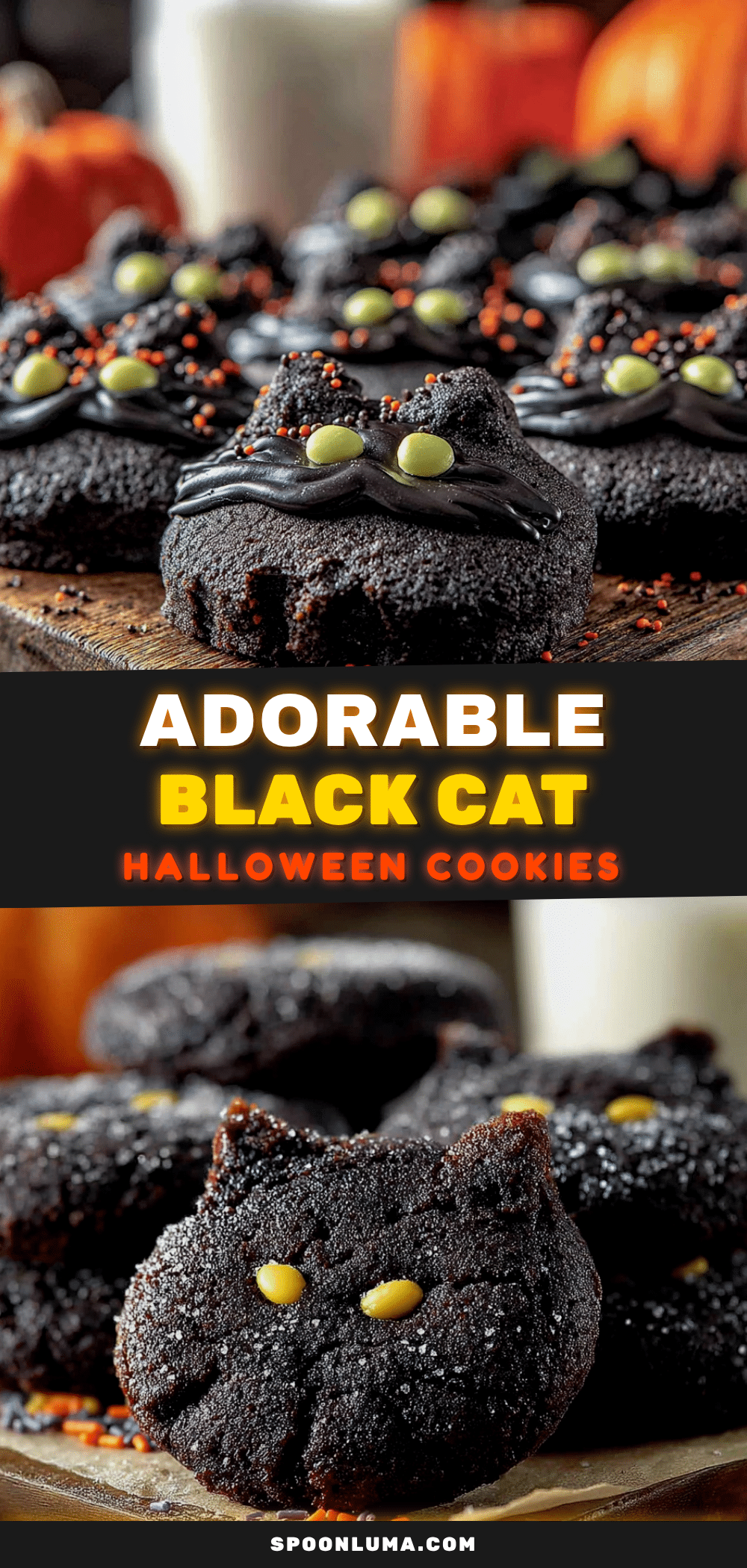 black cat halloween sugar cookies recipe