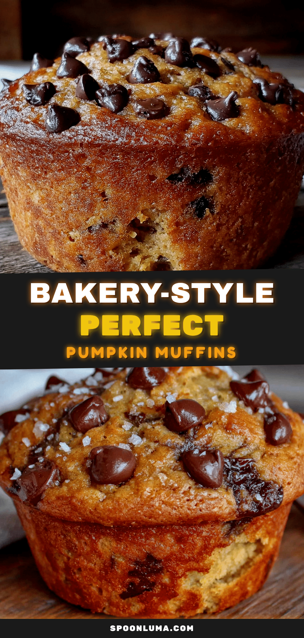 chocolate chip pumpkin muffins recipe
