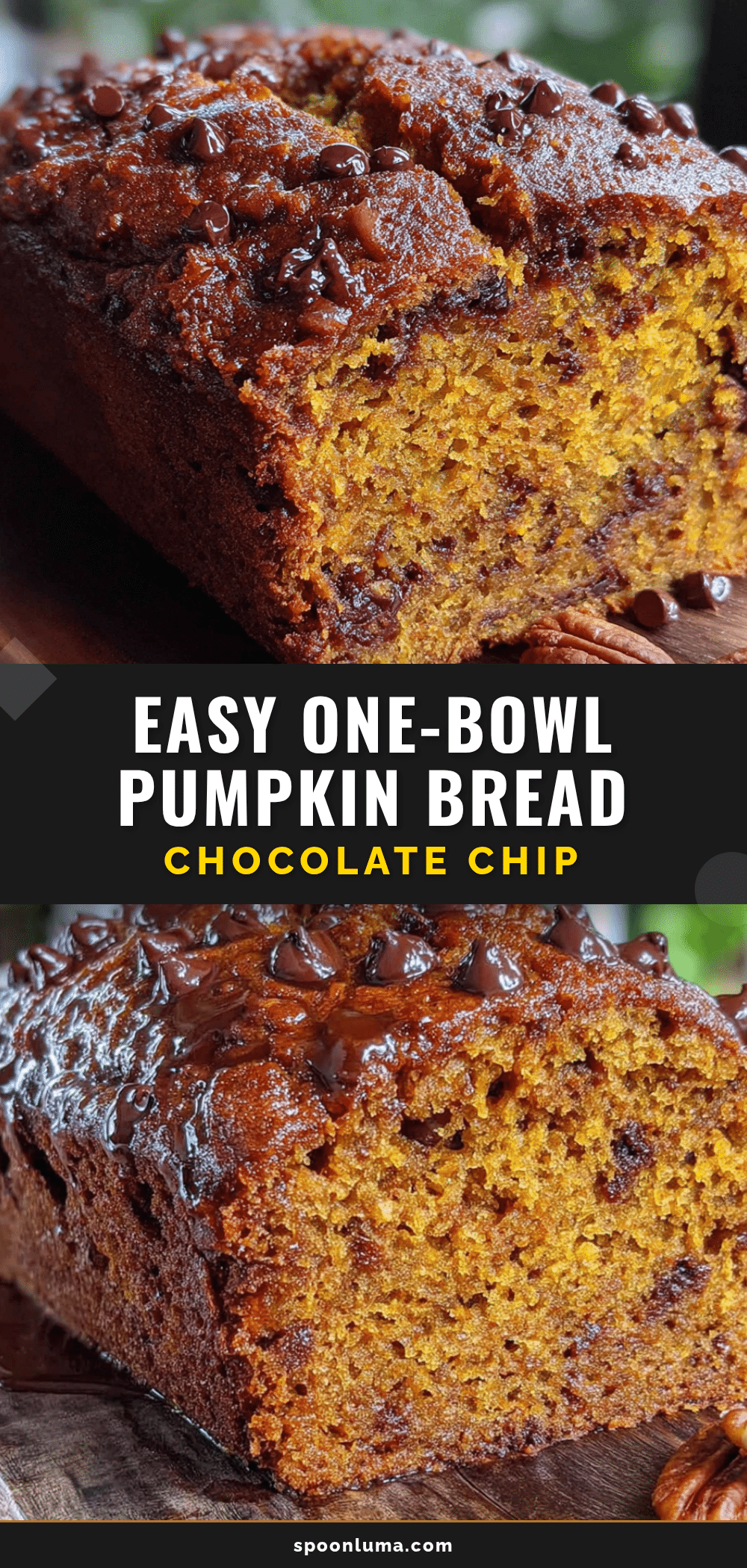 pumpkin chocolate chip bread recipe