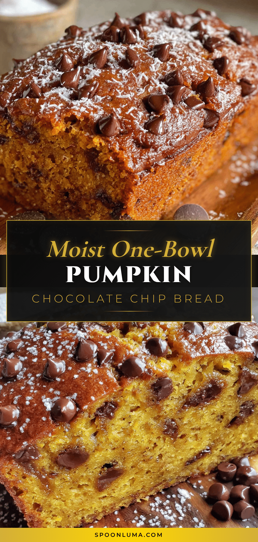 one bowl pumpkin chocolate chip bread recipe