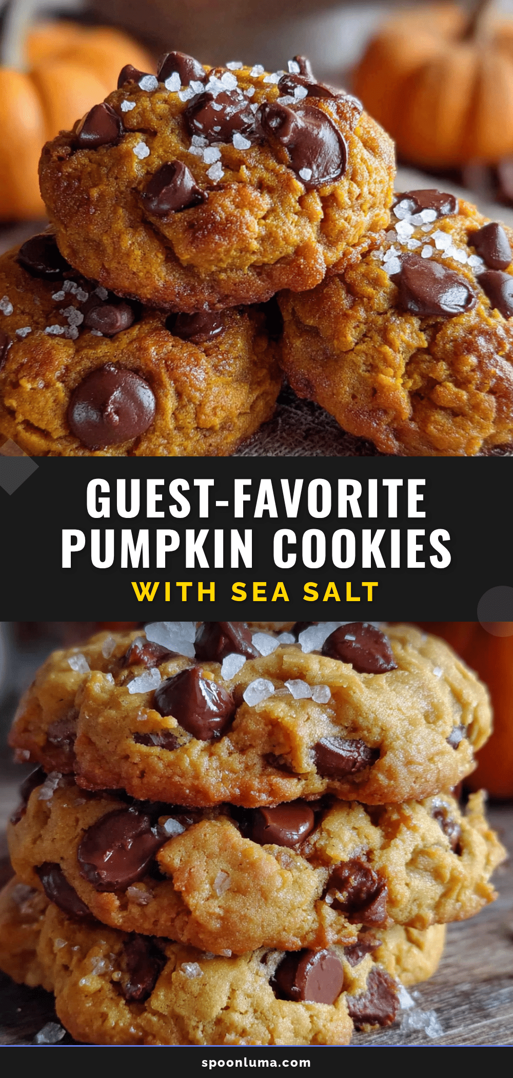 pumpkin chocolate chip cookies with sea salt recipe